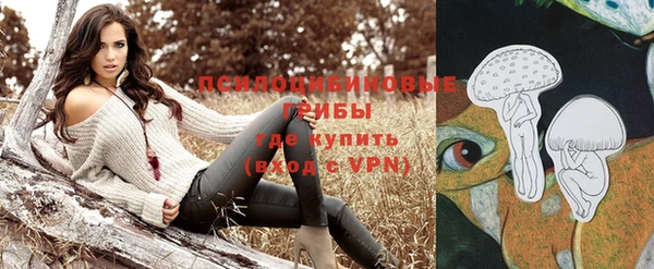 СК Магадан