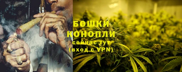 мдпв Лиски