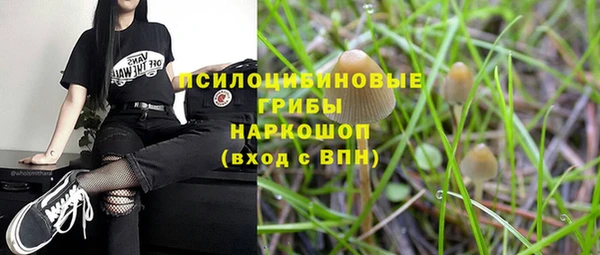 гидра Майский