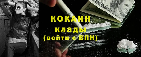 гидра Майский